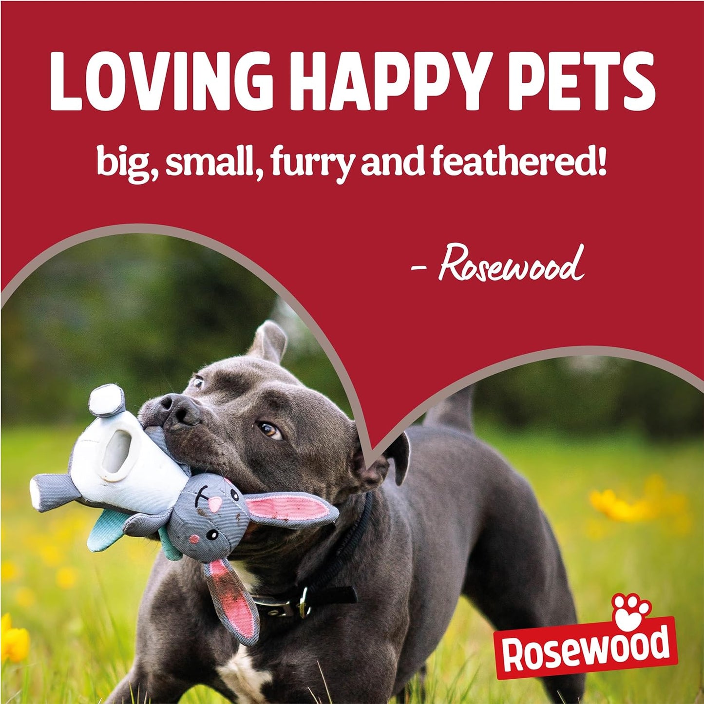 Eco-Friendly Dog Waste Bags 1000, 50 Refill Rolls, Vanilla Scented, Made from Recycled Materials