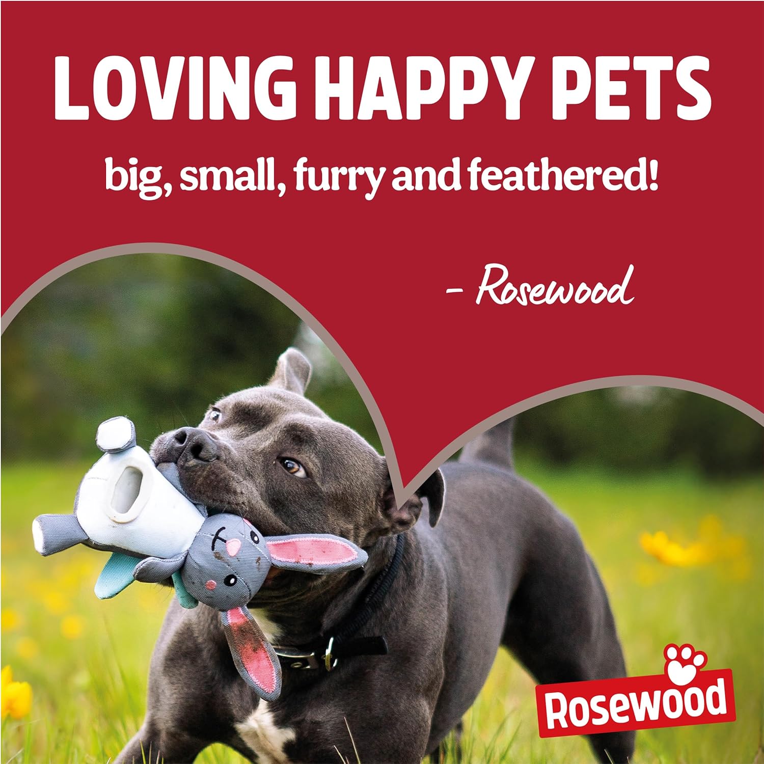Eco-Friendly Dog Waste Bags 1000, 50 Refill Rolls, Vanilla Scented, Made from Recycled Materials
