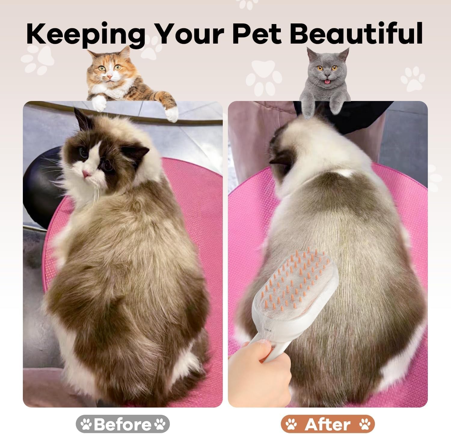 Cat Steam Brush, 5 in 1 Rechargeable Steam Pet Brushes for Long Short Hair Cats Dogs Rabbits with Water Tank, for Dog and Cat Skin Care, Demixing, Relaxing Massage